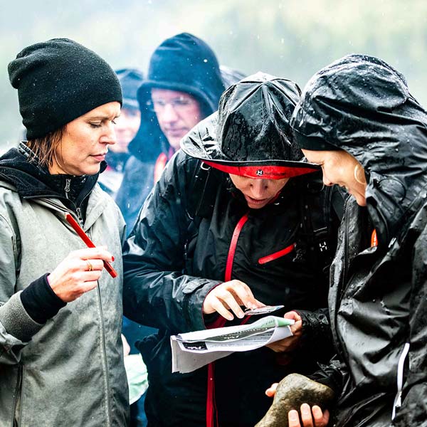 Mpya-ekonomer som orienterar i regbet